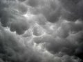 mammatus